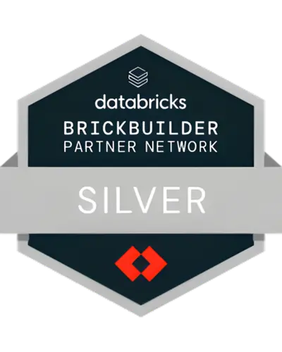 databricks silver logo -